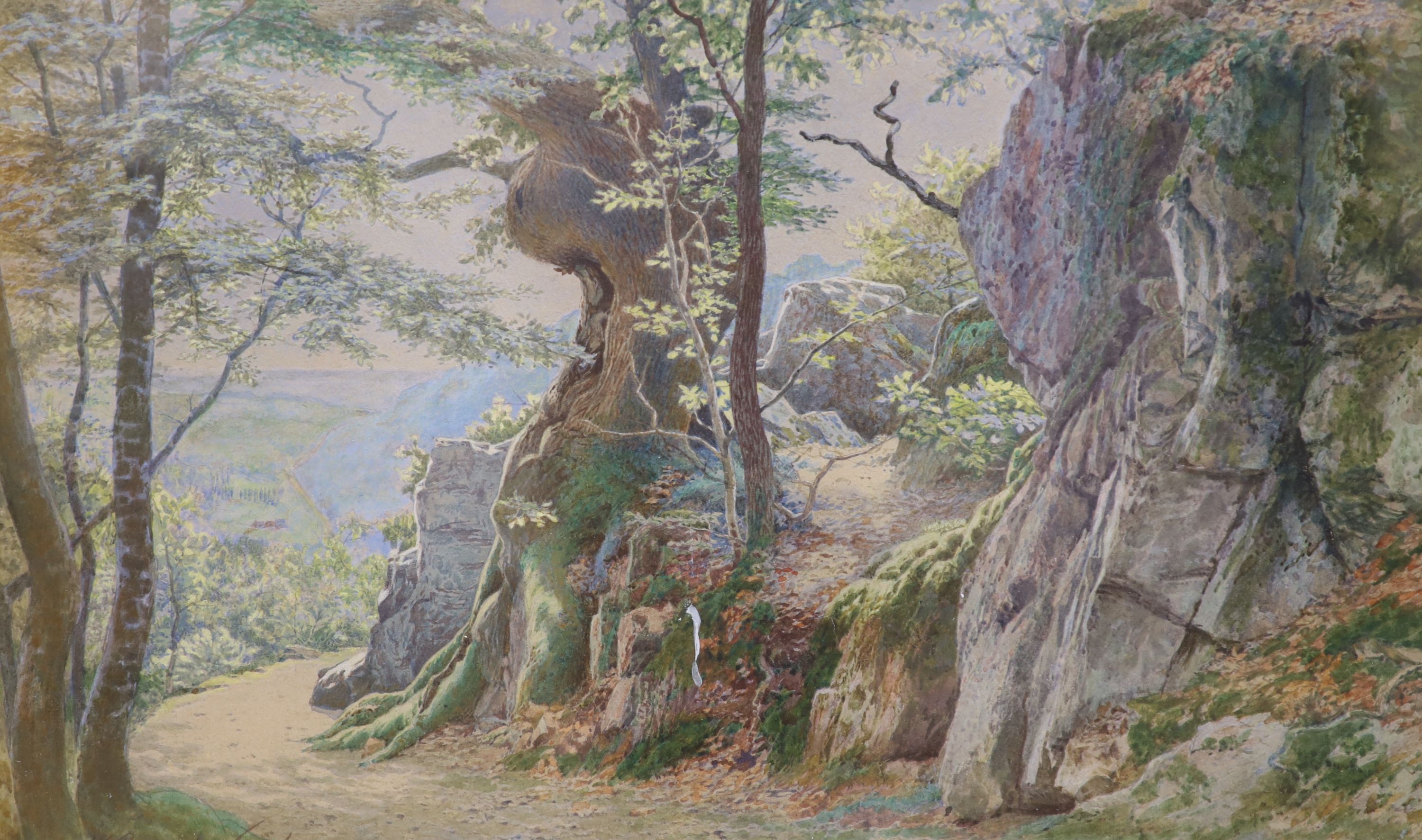 William Biscombe Gardner (1847-1919), watercolour, Landscape near Tunbridge Wells, signed and dated 1899, 20 x 33cm